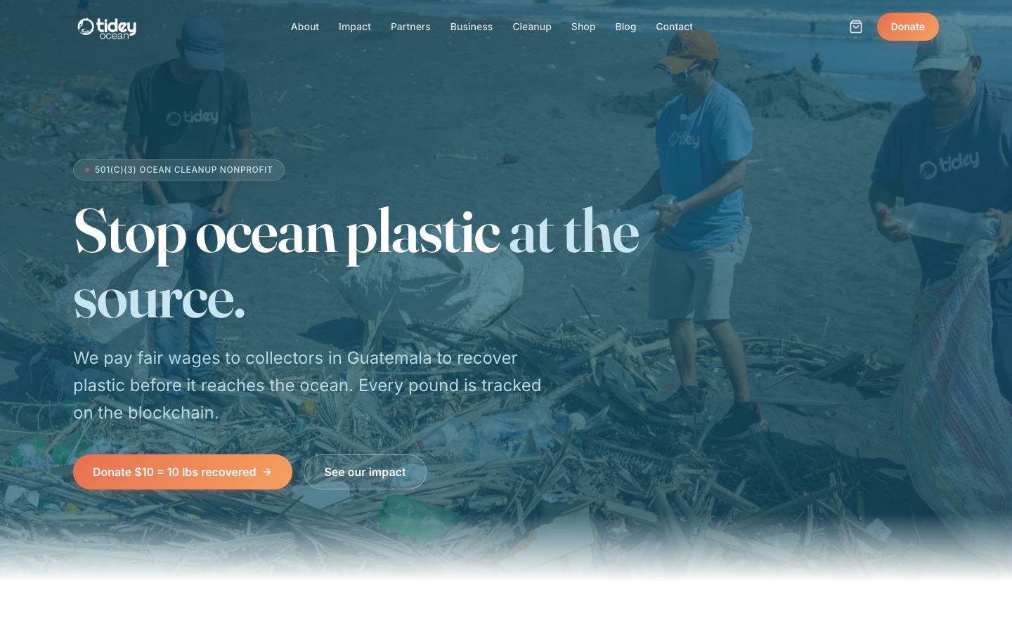 Tidey Ocean Foundation new site, desktop