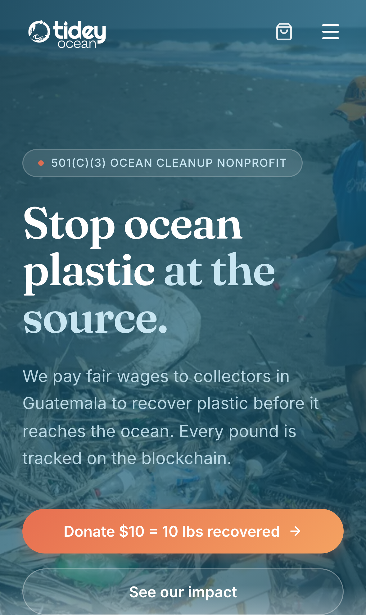 Tidey Ocean Foundation new site, mobile