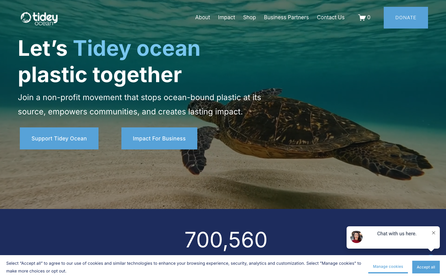 Tidey Ocean Foundation old site, desktop
